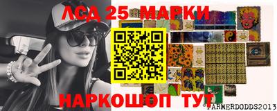 гашик Гатчина